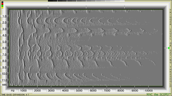 Mac the Scope Spectrogram